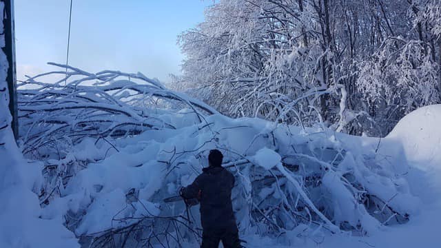 Χιονοδρομικό Κέντρο Βιτσίου Καστοριάς - Έπεσε δένδρο στη διαδρομή του Lift στο χιονοδρομικό (φωτο)