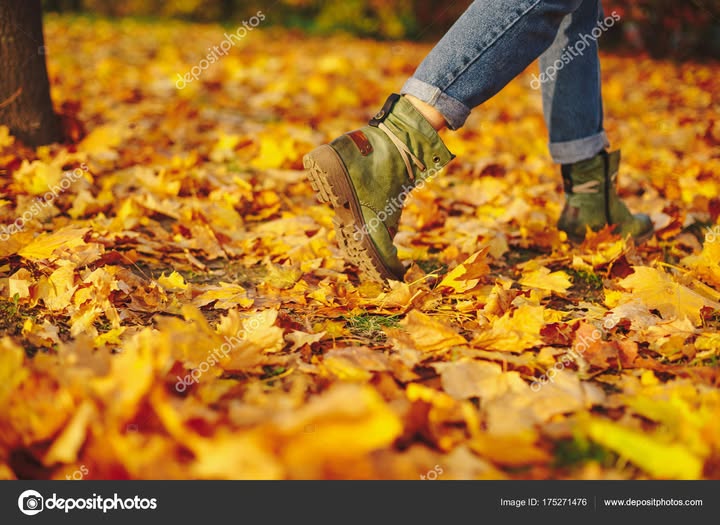 Η Ορειβατική Λέσχη Εορδαίας ενημερώνει τα μέλη και τους φίλους της ότι την Πέμπτη 19-3-2026 θα περπατήσουμε