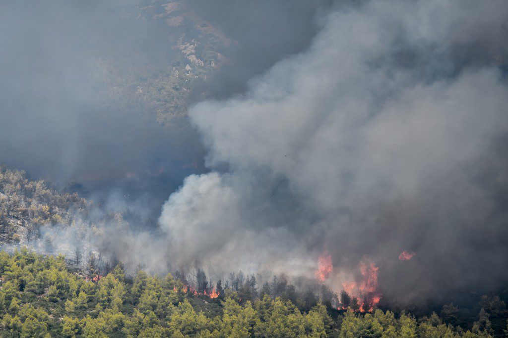 Αιχμές από πρώην διευθυντή επιθεώρησης Δασών για την αντιμετώπιση της πυρκαγιάς στα Βίλια