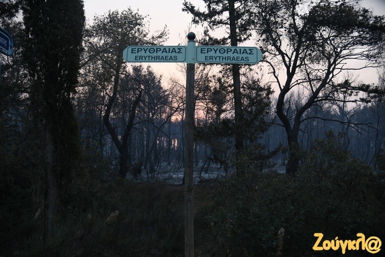 1φγξγηκξηλκιθόιόιίθοθ