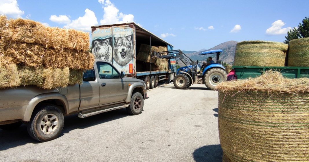 Ολοκληρώθηκε η αποστολή βοήθειας στους πυρόπληκτους κτηνοτρόφους της Εύβοιας, που συγκεντρώθηκε με πρωτοβουλία του Αγροτικού Συλλόγου Καστοριάς “Μακεδνός” και στάλθηκε με τη στήριξη του Δήμου Άργους Ορεστικού.   