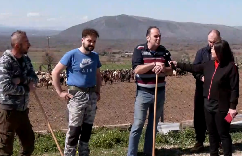 Κοζάνη: Κτηνοτρόφοι στο αυτόφωρο επειδή «σπάνε» την καραντίνα και βγάζουν τα κοπάδια τους έξω