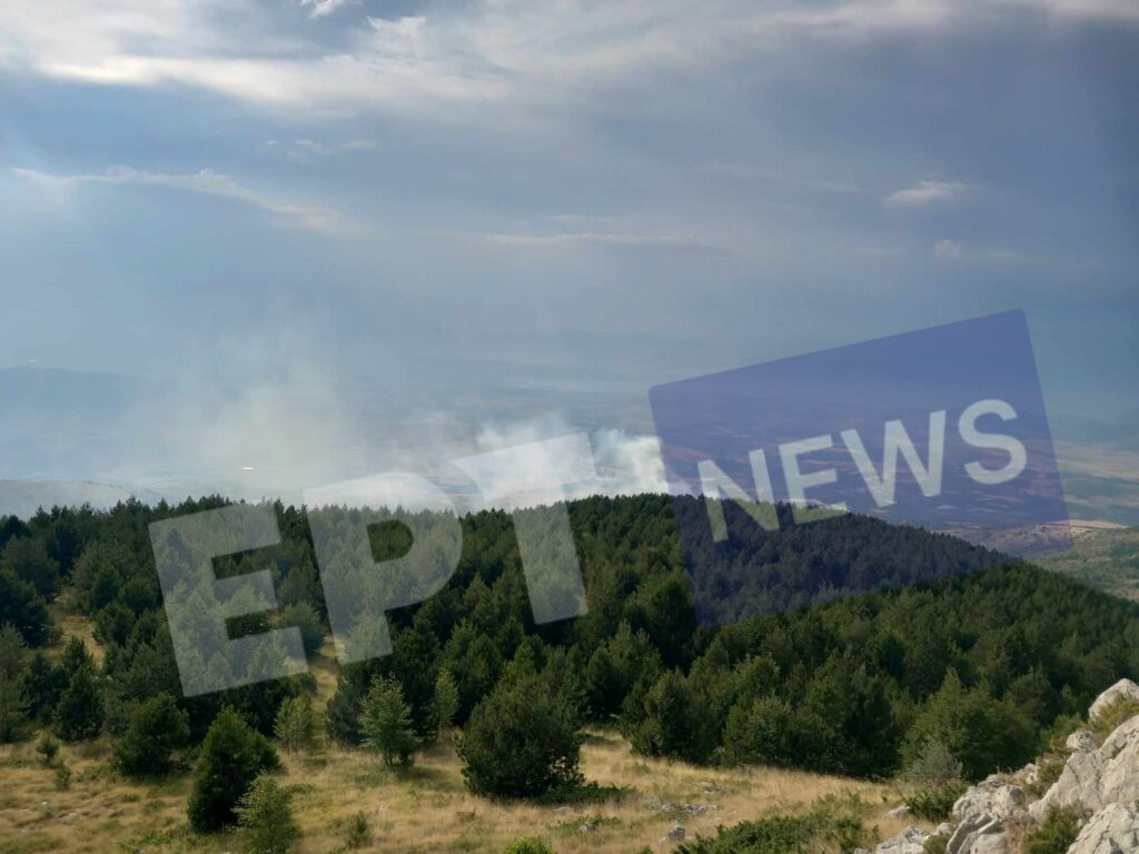 Πτολεμαΐδα: Υπό μερικό έλεγχο η πυρκαγιά σε πευκοδάσος στο Μεσόβουνο