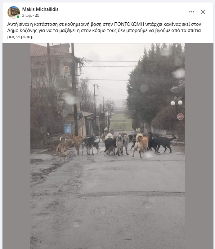ΠΟΝΤΟΚΩΜΗ: Υπάρχει κανένας εκεί στον Δήμο Κοζάνης για να τα μαζέψει η στον κόσμο τους δεν μπορούμε να βγούμε από τα σπίτια μας ντροπή