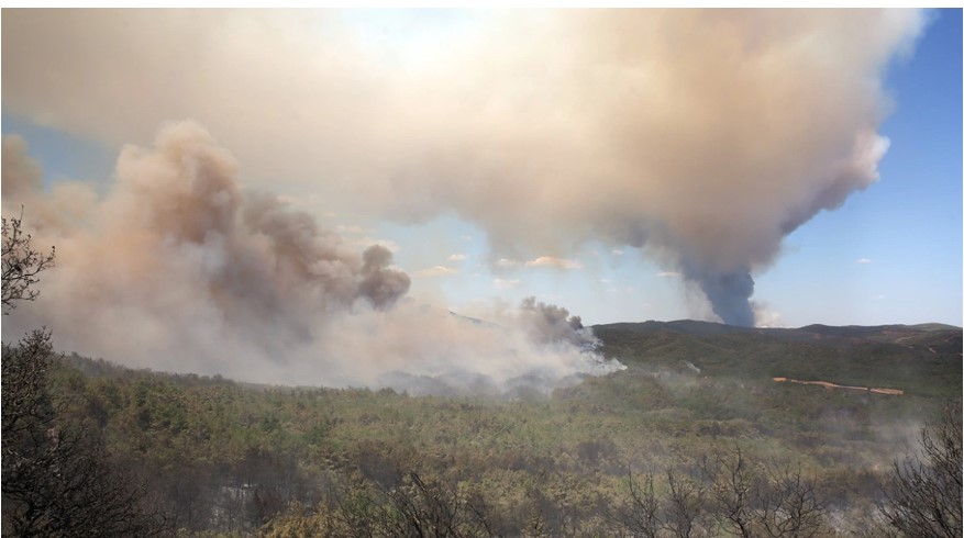 Φωτιά τώρα: Καίγεται το δάσος της Δαδιάς - Φωτιά και στα Λάβαρα Έβρου, μήνυμα του 112 για εκκένωση