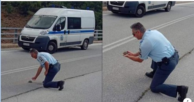Καστοριά: Aστυνομικός βοήθησε χελωνάκι να περάσει με ασφάλεια τον δρόμο και έγινε viral