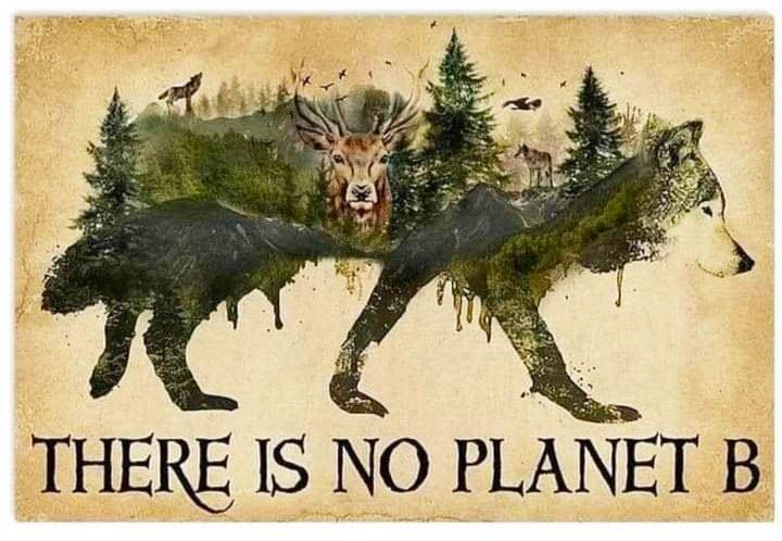 ΤΟ ΜΠΛΟΚΟ ΤΟΥ ΝΥΜΦΑΙΟΥ ΔΕΝ ΕΠΕΣΕ!