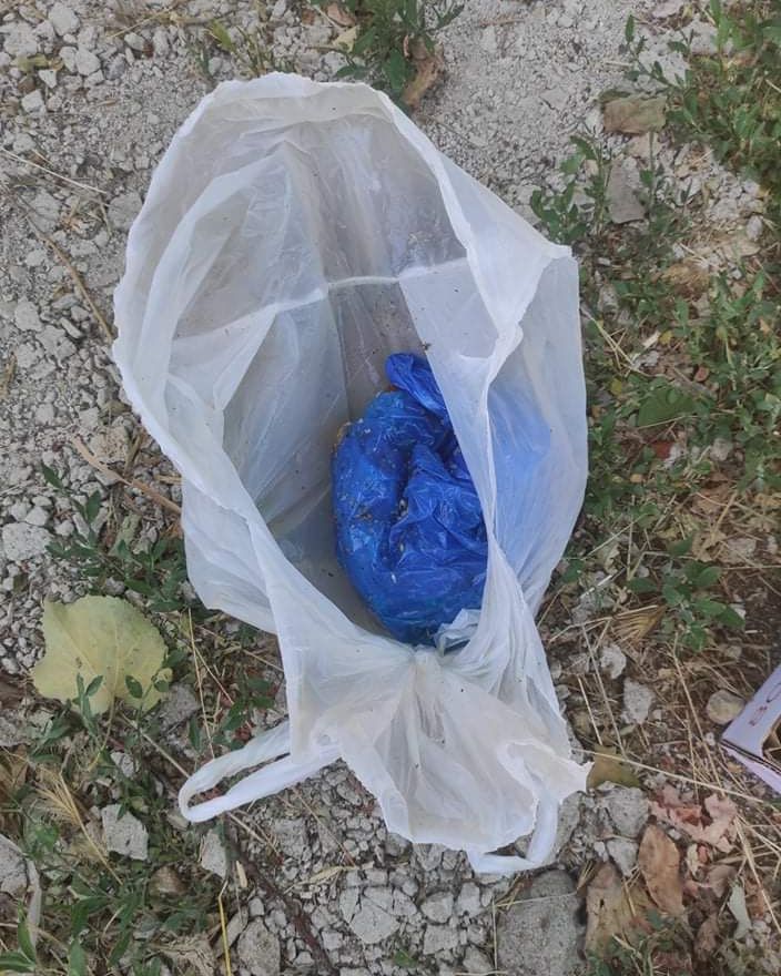 ΦΙΛΟΖΩΙΚΟ ΣΩΜΑΤΕΙΟ ΠΡΟΣΤΑΣΙΑΣ ΑΔΕΣΠΟΤΩΝ ΖΩΩΝ ΠΤΟΛΕΜΑΪΔΑΣ “ΟΙ ΑΔΕΣΠΟΤΟΙ ΗΡΩΕΣ”: ¨ΚΟΥΤΑΒΙΑ ΠΕΤΑΜΕΝΑ ΣΕ ΚΛΕΙΣΤΗ ΣΑΚΟΥΛΑ”