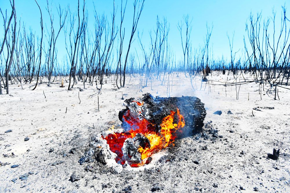 Ptolemais-post: Χθες το Μάτι σήμερα νέα τεραστίων διαστάσεων καταστροφή-Ύψιστη ανάγκη το Εθνικό Συμβούλιο αντιμετώπισης καταστροφών