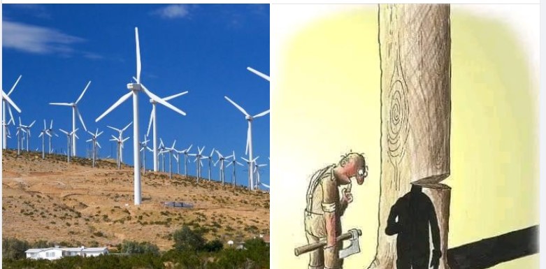 Νίκος Βουνοτρυπίδης: Υπήρξαν αντιδράσεις, χαρακτηρισμοί και ειρωνικά σχόλια σε ανάρτησή μας για το αν εμποδίζει ή όχι η βλάστηση στην τοποθετήση ανεμογεννητριών