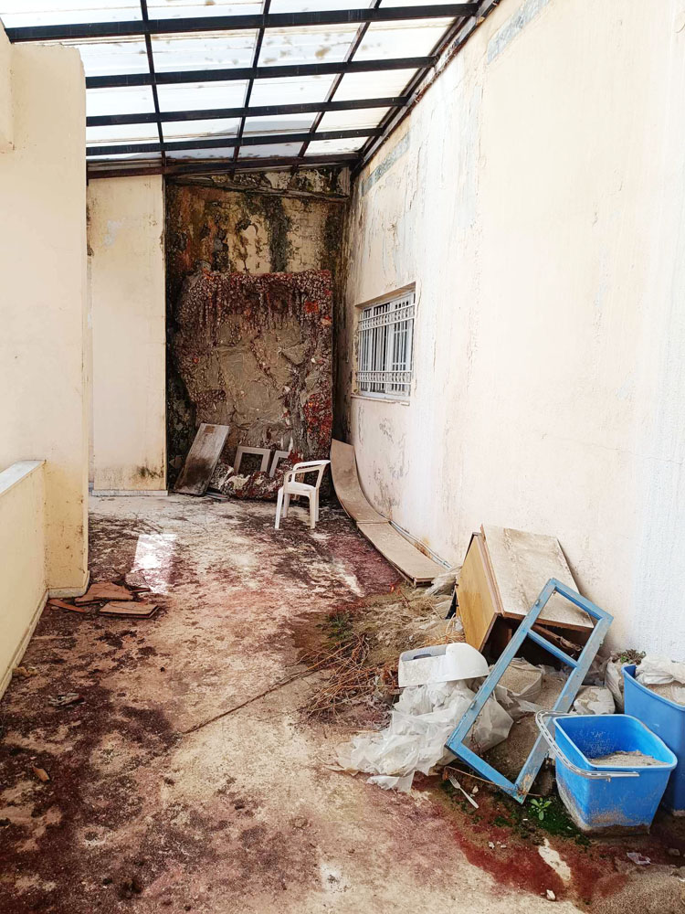 Είναι η ευκαιρία μας, να μετατρέψουμε το Παλαιοντολογικό Μουσείο σε μπαράκι - 10 φωτογραφίες