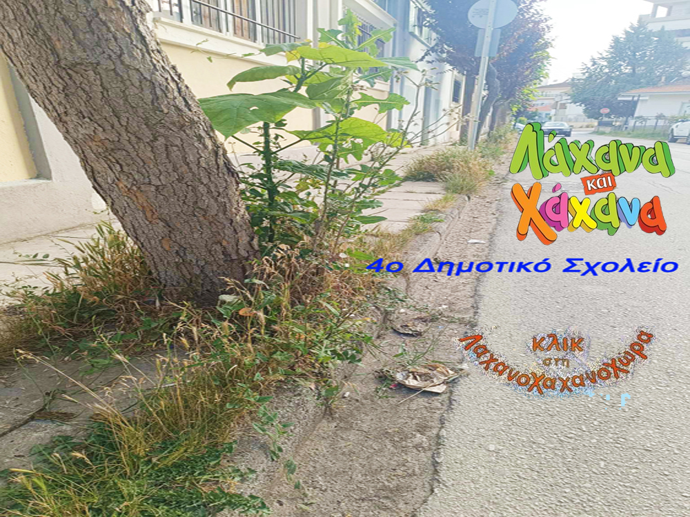 Ο κ. Πλακεντάς άκουσε τον εξάψαλμο από συμπολίτισσά μας σχετικά με τα ακαθάριστα δημοτικά μέρη που ανήκουν στο Δήμο Εορδαίας και μας πνίγουν όλους