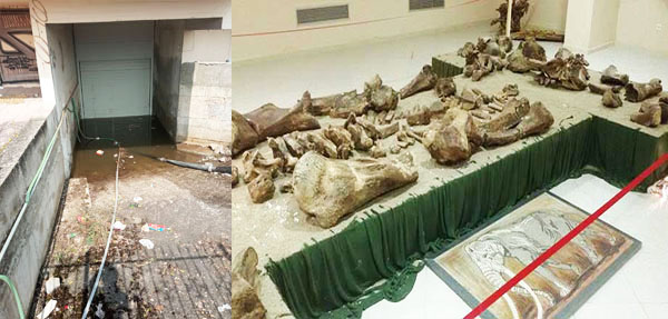 Θα απαντήσει επιτέλους η Δημοτική Αρχή για το κλείσιμο του Παλαιοντολογικού Μουσείου Πτολεμαΐδας και την ασφάλεια του;;;