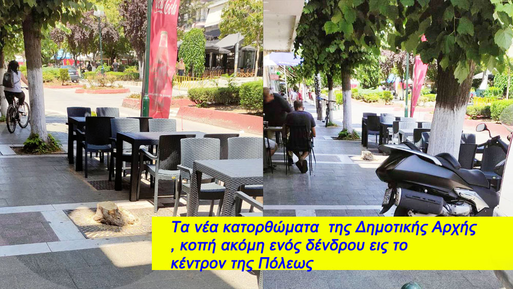 Τα νέα κατορθώματα  της Δημοτικής Αρχής, κοπή ακόμη ενός δένδρου εις το  κέντρον της Πόλεως