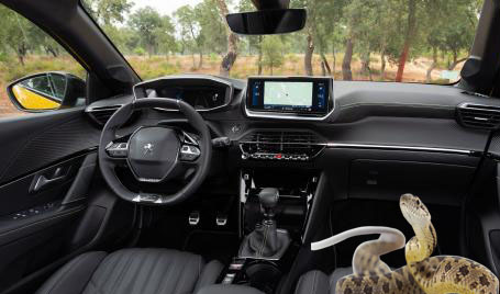 Κοζάνη: Οδηγούσε με συνοδηγό ένα... φίδι!