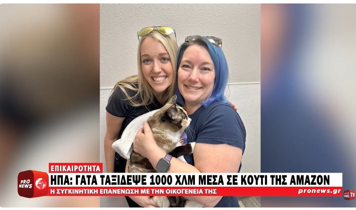 Επέστρεψαν παραγγελία στην Amazon μαζί με τη… γάτα τους – Ταξίδεψε 1.000 χλμ. μακριά