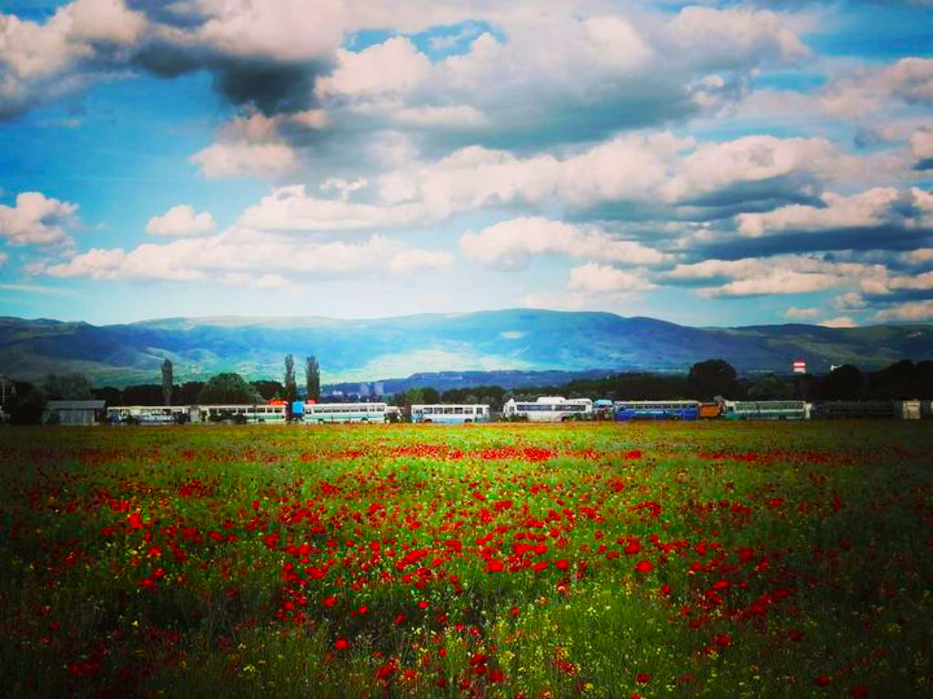Έντεκα ερασιτέχνες φωτογράφοι, μέλη της φωτογραφικής Ομάδας  Έκφραση»,