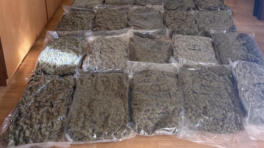   Καστοριά: Τον έπιασαν με περίπου 21 κιλά κάνναβης