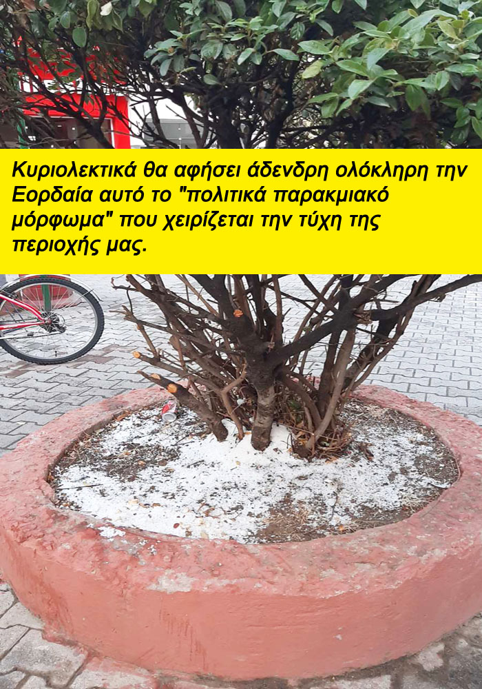 Πτολεμαΐς: Αλάτι σε δενδρύλλιο - Εθνικής Αντιστάσεως στη συμβολή της με Περδίκα!