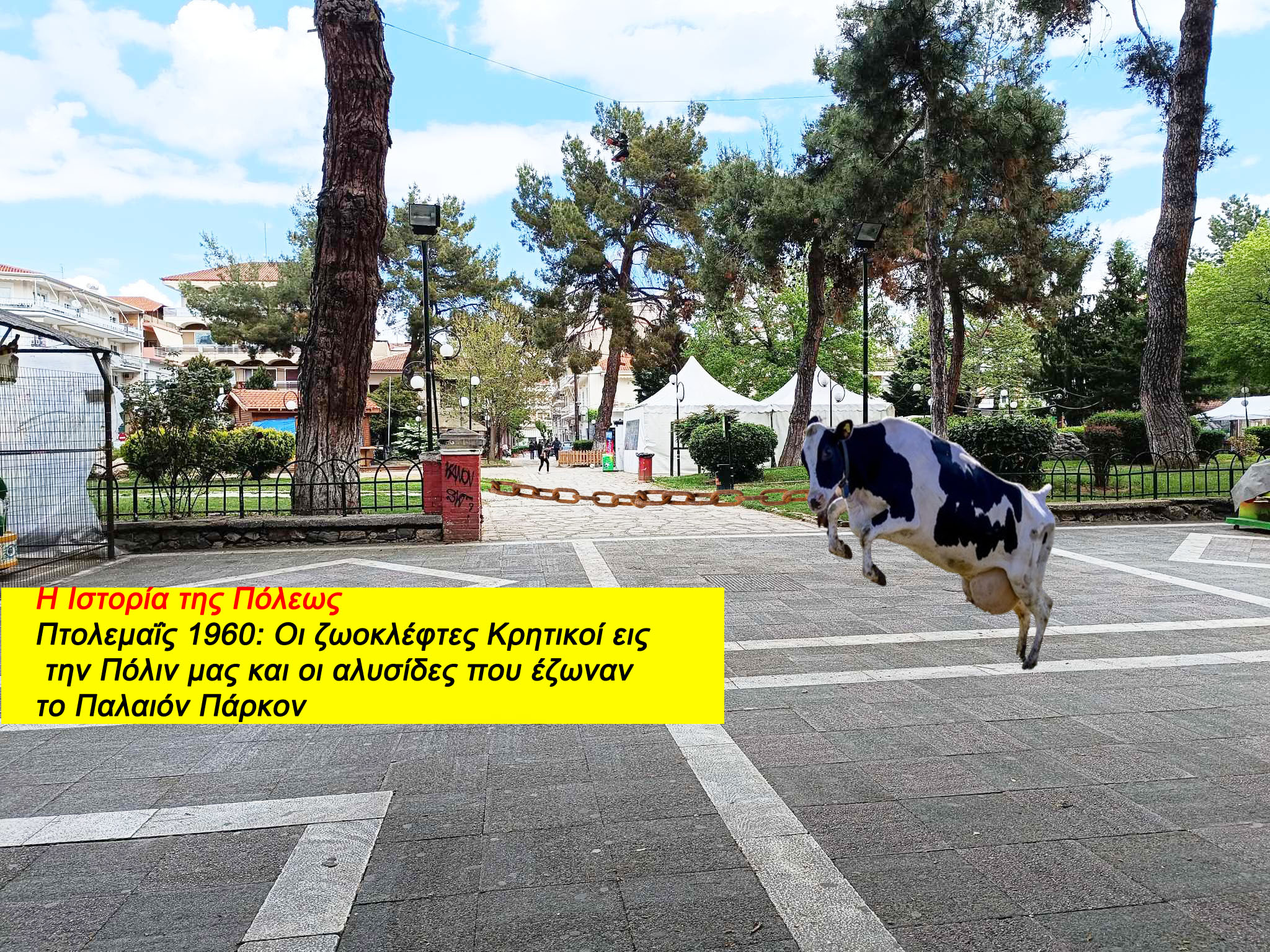 Πτολεμαΐς 1960: Οι ζωοκλέφτες Κρητικοί εις την Πόλιν μας και οι αλυσίδες που έζωναν το Παλαιόν Πάρκον