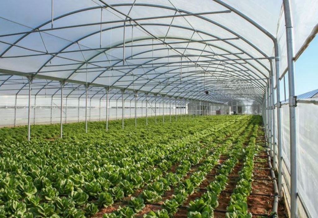 Δύο σύγχρονα θερμοκήπια, συνολικής έκτασης 250 τετραγωνικών μέτρων, αλλά και εξωτερικούς κήπους, ανθόκηπους και λαχανόκηπους, προετοιμάζει το 1ο Επαγγελματικό Λύκειο Πτολεμαΐδας