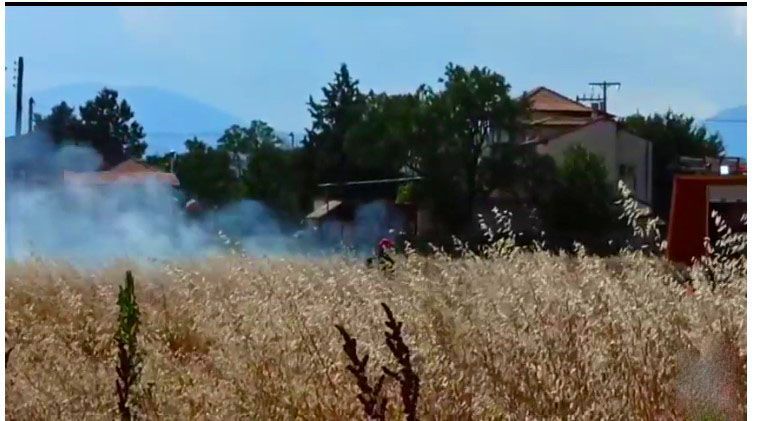 Μικρή φωτιά, που έσβησε γρήγορα η Πυροσβεστική, ξέσπασε λίγο πριν τις 17:00 σήμερα Σάββατο, στην περιοχή του οικισμού Νέας Καρδιάς στην Πόλη μας.