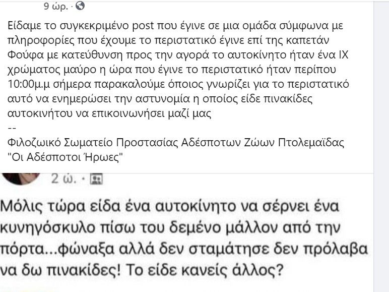 Φιλοζωικό Σωματείο Προστασίας Αδέσποτων Ζώων Πτολεμαϊδας - κακοποίησις σκύλου  