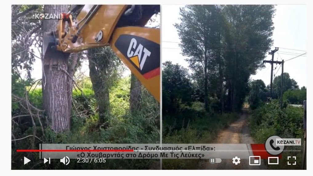 24.552 ευρώ έδωσε η περιφέρεια για την κοπή 14 δένδρων (λεύκες) στον κάμπο!!!!