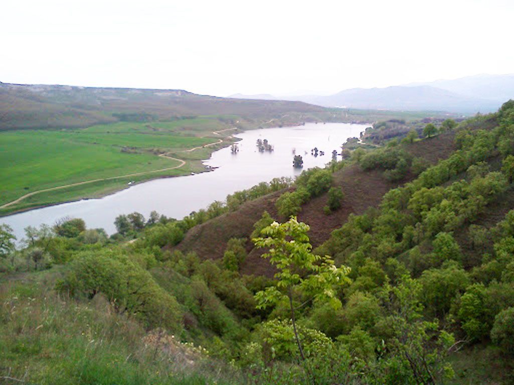 Να καθαριστούν άμεσα οι δρόμοι στο δάσος του «Κουρί», που βρίσκεται πίσω από το Μποδοσάκειο Νοσοκομείο Πτολεμαΐδας